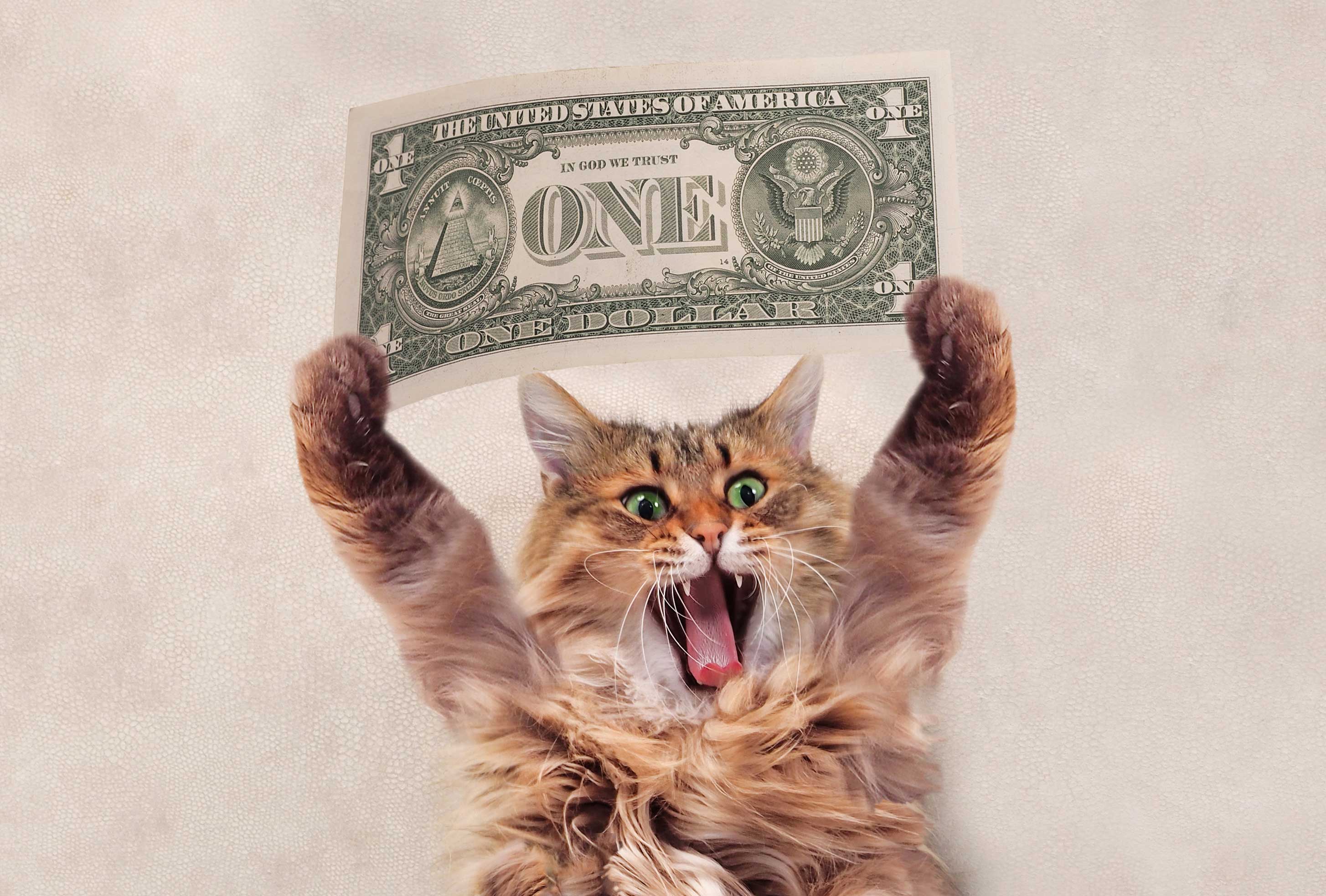 Quotelab 5 Things That Will Help You Save Money - QuoteLab.com